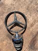 Mercedes Stern Güstrow - Landkreis - Laage Vorschau