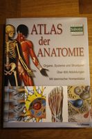 Atlas der Anatomie Schleswig-Holstein - Tröndel Vorschau