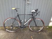 Carbon-Rennrad Müsing Aviator - Shimano Dura Ace - Rh 58 Bayern - Mainburg Vorschau