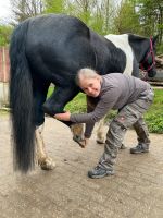 Osteopathie für Pferde/Ponys Nordrhein-Westfalen - Halver Vorschau