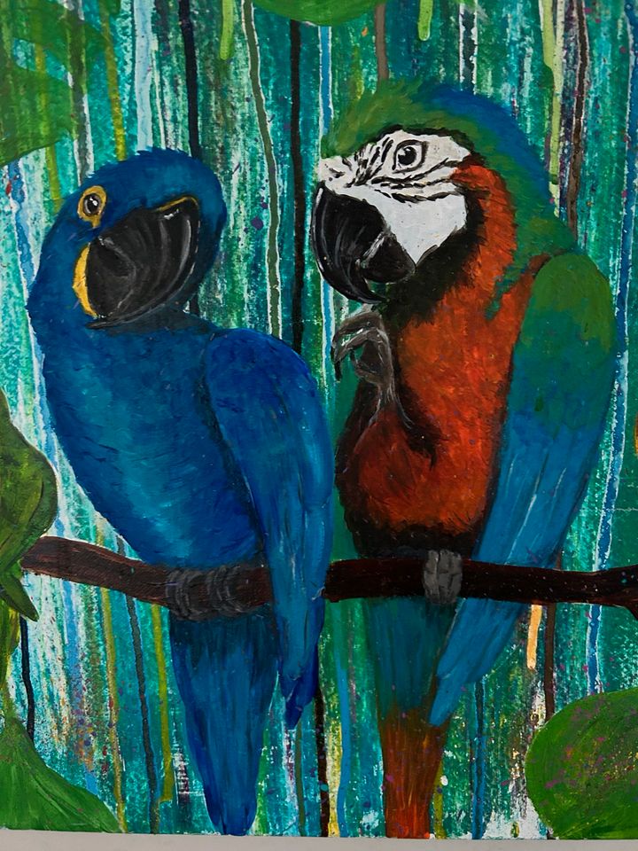 Keilrahmenbild 70x50 cm „Die Vögel“ Papagei Kakadu Wellensittich in Cottbus