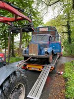 Mercedes 311 Pferdetransporter Niedersachsen - Aurich Vorschau