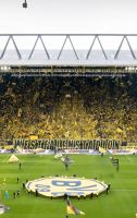 Suche BVB gegen Darmstadt Dortmund - Körne Vorschau