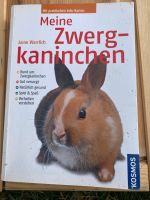 Kaninchen Buch Baden-Württemberg - Wald Vorschau