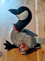 TY Beanie Baby Gans Loosy Vogel Rheinland-Pfalz - Otterberg Vorschau