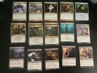 17P - Grün schwarzes Magic the Gathering Deck Schleswig-Holstein - Börm Vorschau