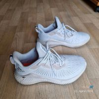 Adidas Damen Alphabounce+ W Laufschuhe Sportschuhe Gr.39 1/39 Nordrhein-Westfalen - Petershagen Vorschau