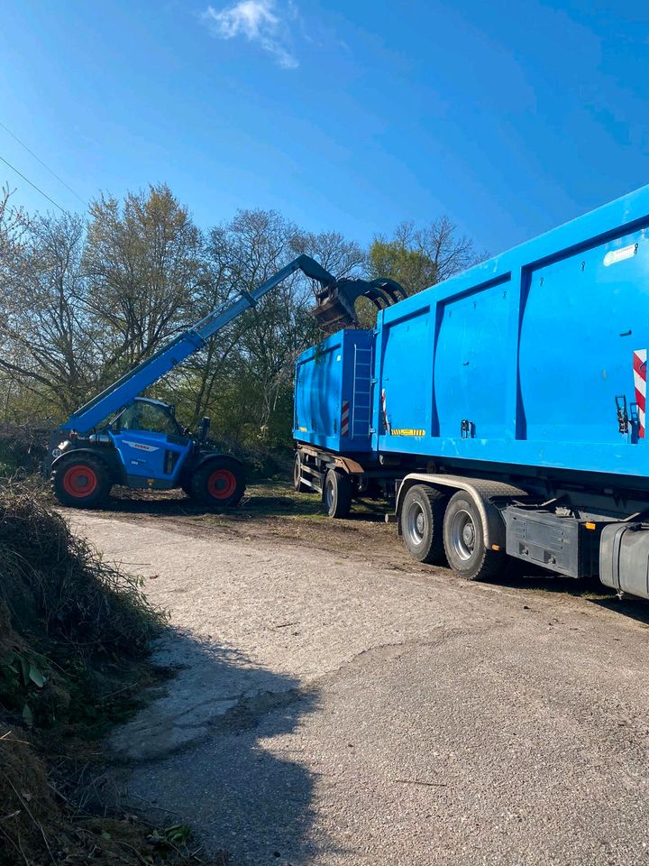 Entsorgung Gartenabfälle Container für Gestrüpp, Grünschnitt, in Reinfeld