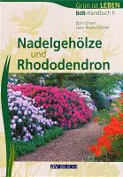 Nadelgehölze und Rhododendron Sachsen - Laußnitz Vorschau