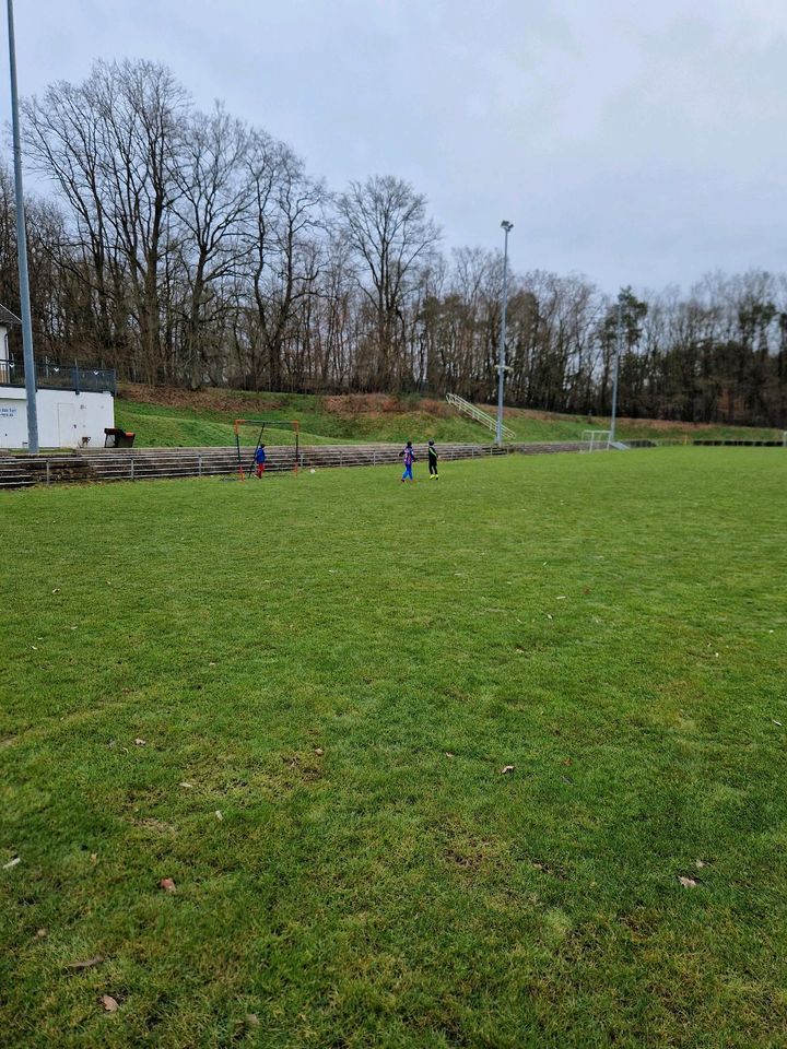 Mehrfamilienhäuser Siedlungspflege Gewerbliche Betreuung in Saarbrücken