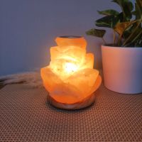 Lampe Salzkristalllampe Duftöllampe Himalayasalz Lotusblüte *Neu* Niedersachsen - Lüchow Vorschau