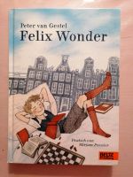 Jugendliteratur Roman v. Peter van Gestel - Felix Wonder Hessen - Glashütten Vorschau