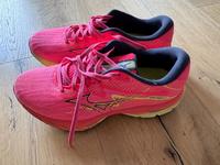 Mizuno Wave Rider 27 Damen in der Größe 38 Baden-Württemberg - Ulm Vorschau