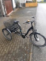 3 Rad Elektro Fahrrad Prophete Rheinland-Pfalz - Pfalzfeld Vorschau