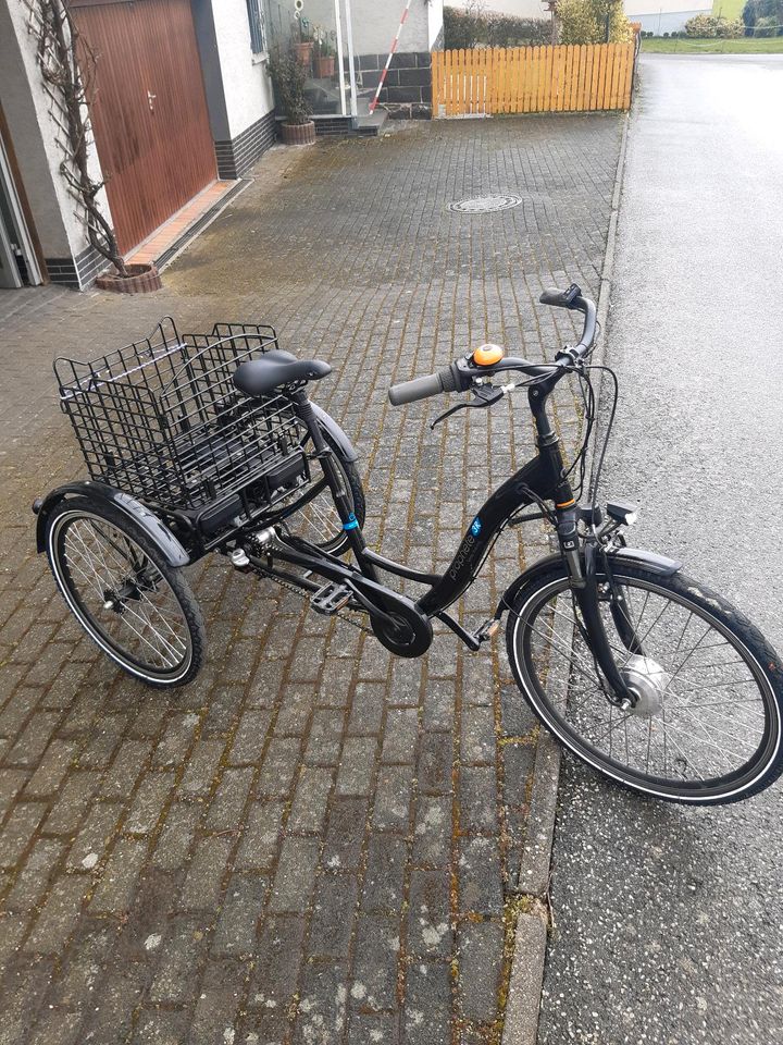 3 Rad Elektro Fahrrad Prophete in Pfalzfeld