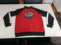 Harley Davidson Sweatshirt Größe L Top Zustand neuwertig Baden-Württemberg - Neckartenzlingen Vorschau