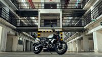 Ducati Scrambler 1100 Dark Pro MY23 Neufahrzeug Emsbüren - Ahlde Vorschau