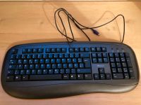 LOGITECH Deluxe 250 Tastatur in Schwarz in OVP Hessen - Flörsheim am Main Vorschau