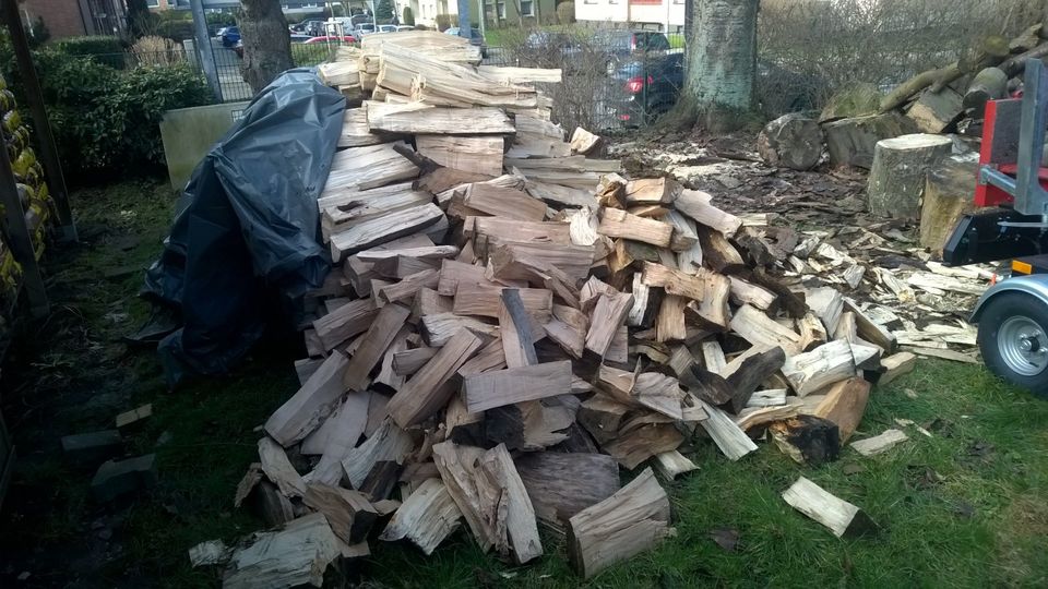 Holzspalter  ( Vermietung ) in Herne