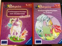 Erstlesebuch Einhorn Erstlesegeschichten Zauberwald Leserabe Niedersachsen - Ostercappeln Vorschau