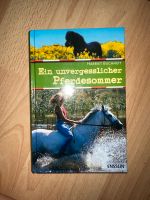 Buch Ein unvergesslicher Sommer Baden-Württemberg - Appenweier Vorschau