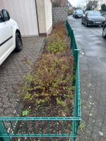 Gartenarbeit Nordrhein-Westfalen - Leverkusen Vorschau