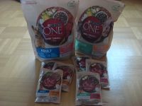 Purina One Mini/Small Adult & Active Trockenfutter & Nassfutter Hannover - Bothfeld-Vahrenheide Vorschau