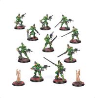 Striking scorpions eldar aeldari warhammer 40k kill team Niedersachsen - Nottensdorf Vorschau