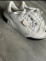 Puma Carina Dortmund - Lütgendortmund Vorschau