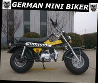 SKYTEAM T-REX 125 CLUB-INJECTION E5 Yellow Bayern - Mindelheim Vorschau