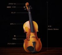 Geige Violin Eastar 4/4 Bayern - Fürth Vorschau