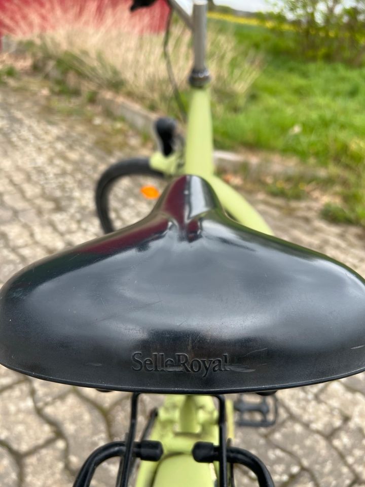 Damen Hollandrad 28" in Hiddenhausen