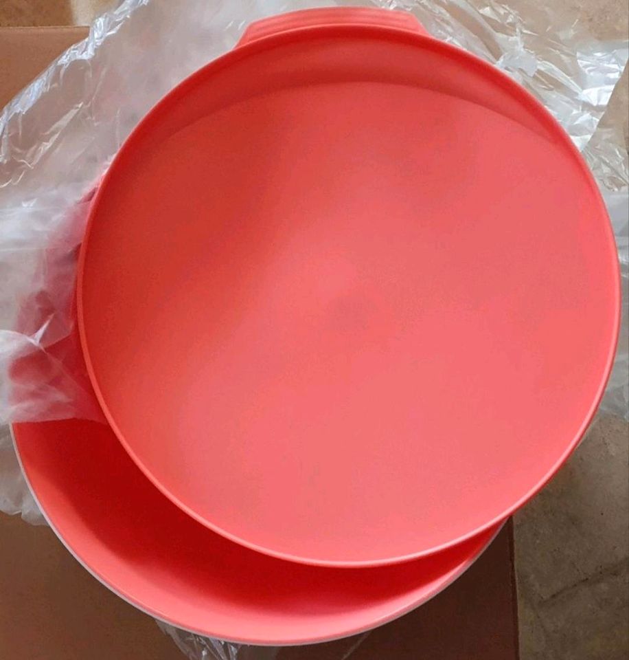 Tupperware Alegra 6l in Isenbüttel