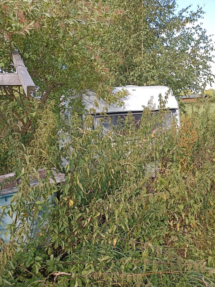 TABBERT Wohnwagen (Ruine) zu verschenken in Soest