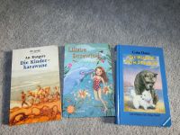 Buch Kinder Karawane Hunde vom Strand Liliane Susewind Delphin Baden-Württemberg - Dettingen an der Iller Vorschau