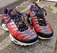 TN Nike Air Max Plus Gr. 38 Sachsen - Coswig Vorschau