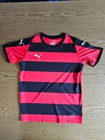 Sport T-Shirt von Puma für Kinder Bayern - Gammelsdorf Vorschau