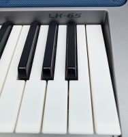 CASIO LK-65 Key Lighting Keyboard YAMAHA Ständer ++ Niedersachsen - Obernkirchen Vorschau