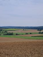 Suche Ackerland zu pachten oder kaufen,  Ackerfläche Baden-Württemberg - Assamstadt Vorschau