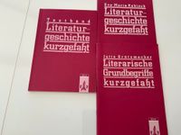 Literaturgeschichte kurzgefaßt Textband  - Verlag Klett 1996 Sachsen-Anhalt - Dessau-Roßlau Vorschau