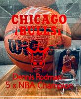 Dennis Rodman signierter Wilson NBA Basketball / Vitrine / BAS Berlin - Treptow Vorschau