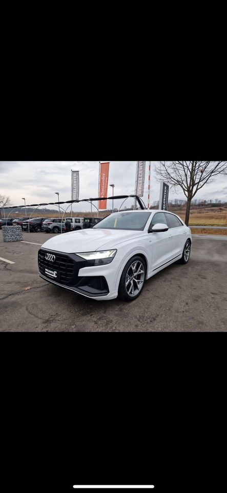 Audi Q8 50 TDI in Passau