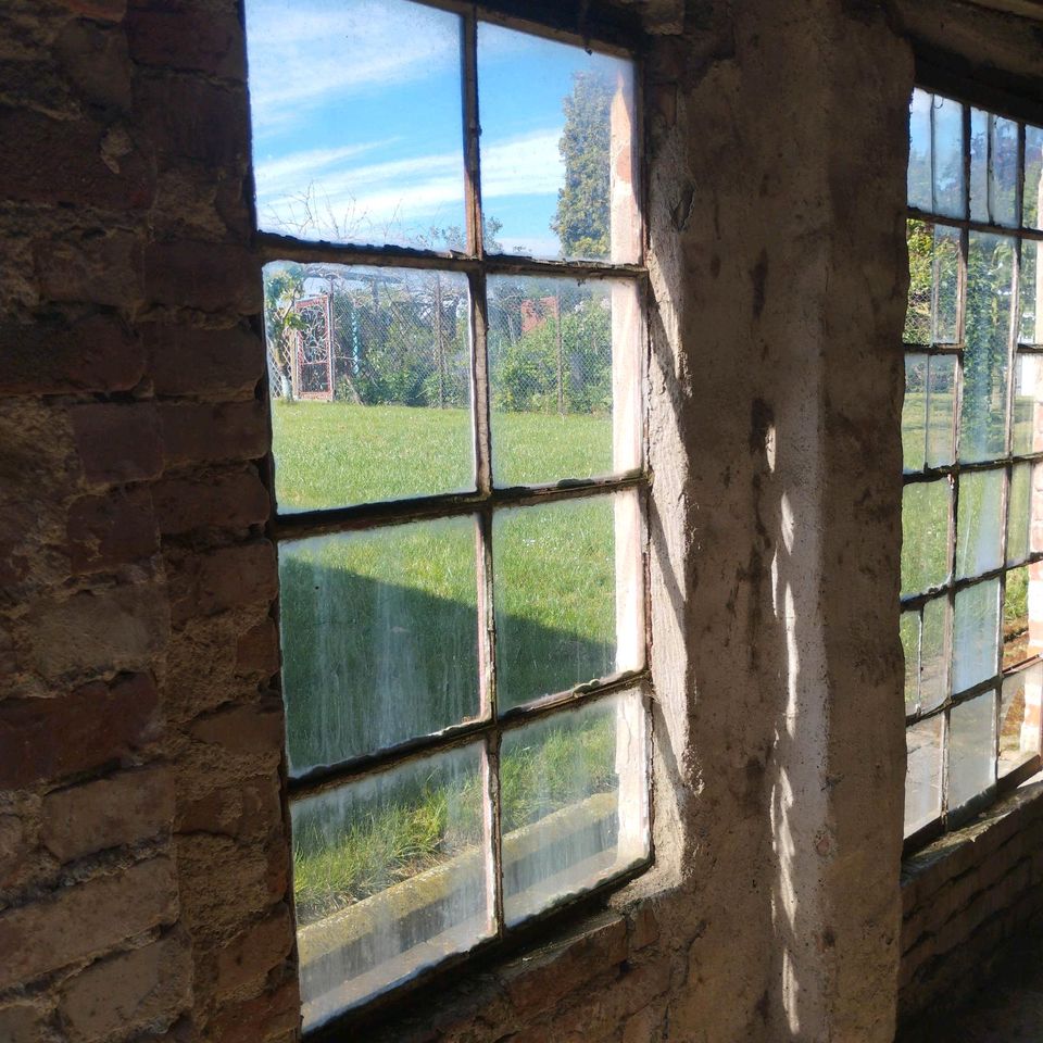 Industriefenster mit Glas in Groß Ammensleben