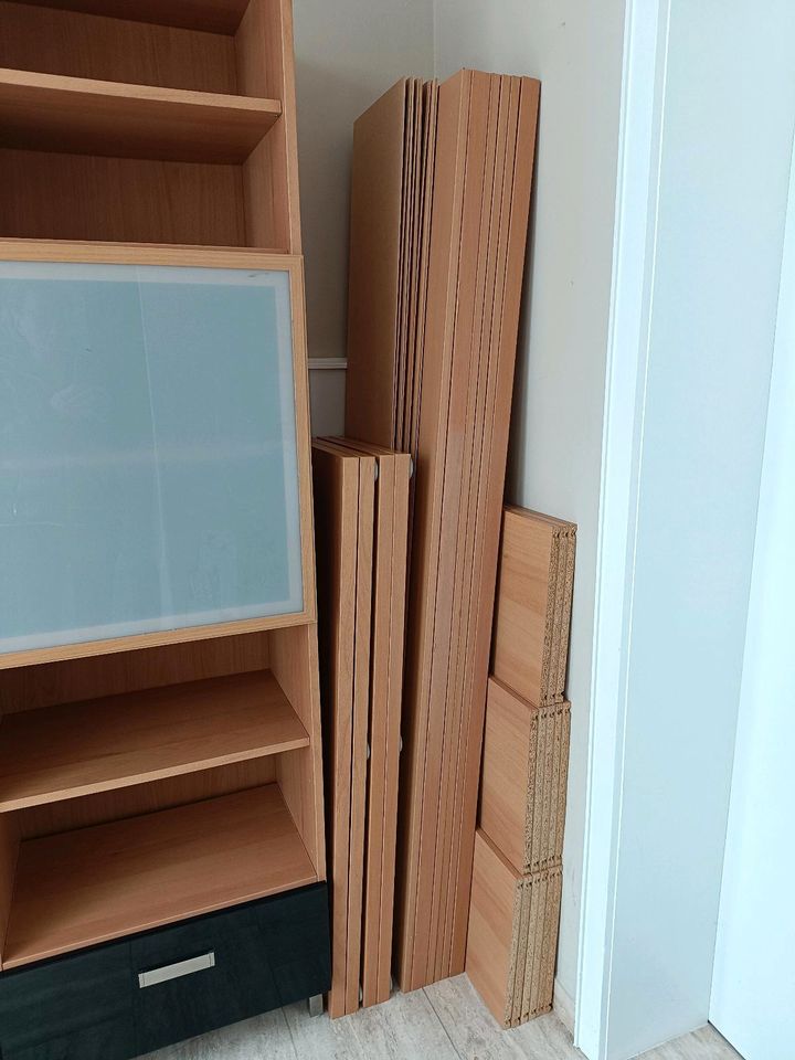 2x IKEA BESTA Korpus 120x40x196 Buche Regal Schrank 002.473.70 in Darmstadt