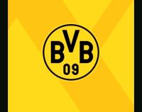 SUCHE 2x Tickets Dortmund gegen Darmstadt Nordrhein-Westfalen - Ochtrup Vorschau