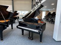 Steinway Flügel, Modell B-211, Generalüberholt, 5 J. Garantie Nordrhein-Westfalen - Swisttal Vorschau