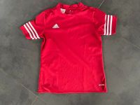 Adidas Sportshirt Trainingsshirt Gr. 152 Rheinland-Pfalz - Salmtal Vorschau