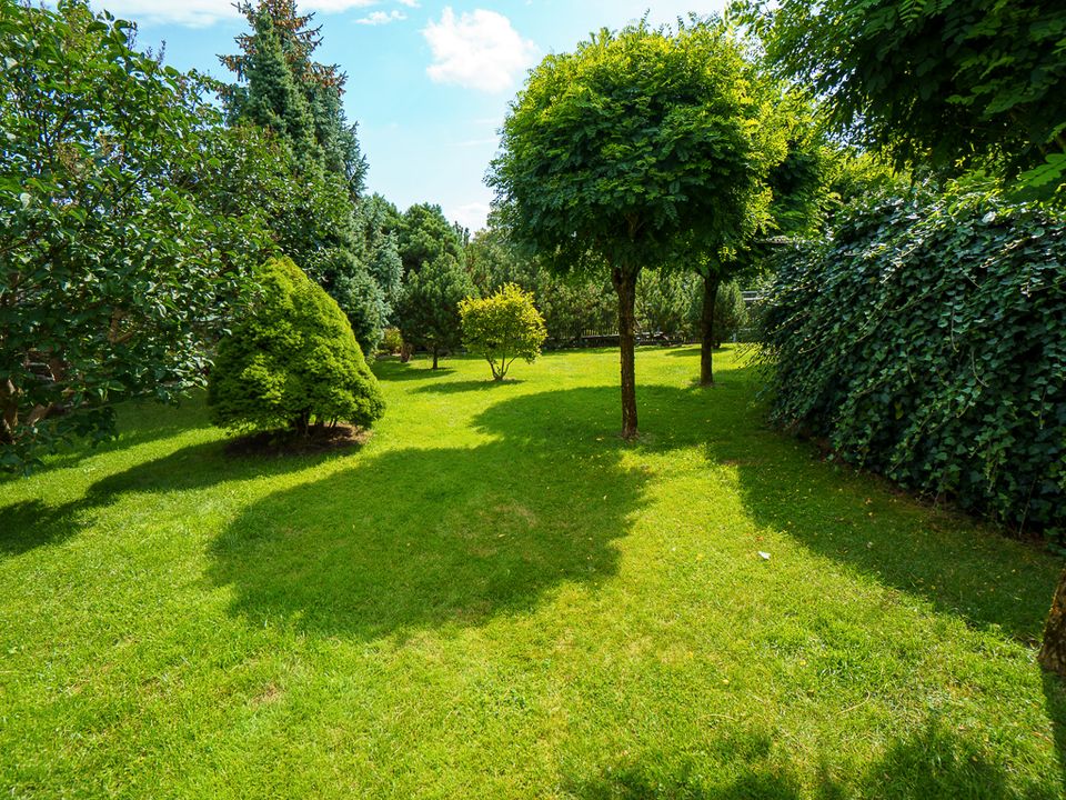 Traumvilla im Grünen: Luxuriöses Refugium im Herzen des Vogtlands in Falkenstein/Vogtland