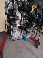 Motor Komplett G4FJ 1.6 T-Gdi KIA SPORTAGE SOUL OPTIMA 7 TKM Brandenburg - Golzow Oderbruch Vorschau