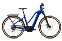 FLYER Gotour 7.12 XC e-Touringbike 10% Rabatt *SALE* Rheinland-Pfalz - Bingen Vorschau